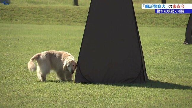 優れた嗅覚を生かして事件の捜査や行方不明者の捜索で活躍 嘱託警察犬審査会 盛岡市|TBS NEWS DIG