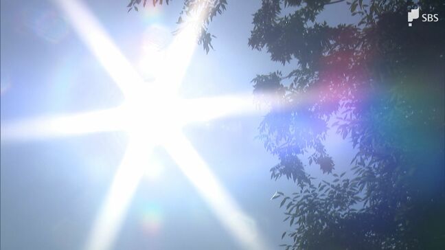 熱中症警戒アラート 4月23日から運用開始 静岡県内では2024年度44回発表 2,527人救急搬送|TBS NEWS DIG