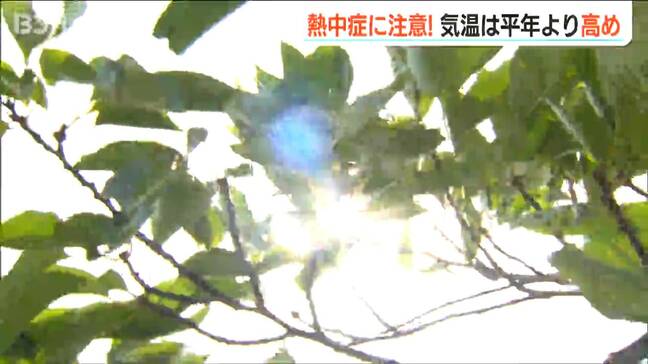 「降水量は平年並み」だが 今夏も暑そう　前線や台風の影響などで“大雨”になることも　３か月予報|TBS NEWS DIG
