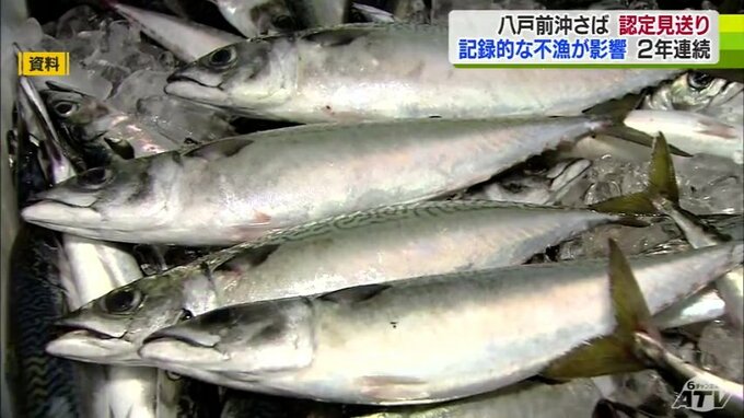『八戸前沖さば』記録的な不漁の影響でブランド認定が見送りに　認定見送りは2年連続…　|　青森のニュース│ATV NEWS│青森テレビ