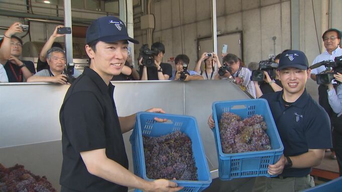 実は、ワイン好き…元プロ野球選手・和田毅さんがワインの仕込み「おっ、島根産だ！と思ってつい買っちゃいますね」|TBS NEWS DIG