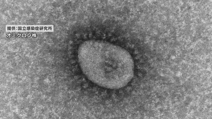 新たに210人の感染を確認　新型コロナウイルス　新潟県|TBS NEWS DIG