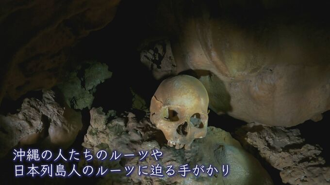 沖縄の洞窟で見つかる古代人の頭蓋骨・手足の骨･･･ なぜ朽ちずに残るのか|TBS NEWS DIG