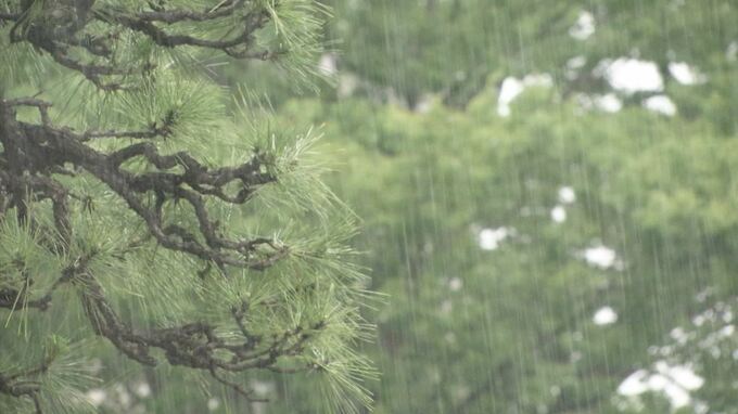 【大雨】JR運休情報　すでに１８本が運休・部分運休決定　運転取りやめの列車拡大の可能性　|　BSSニュース | BSS山陰放送