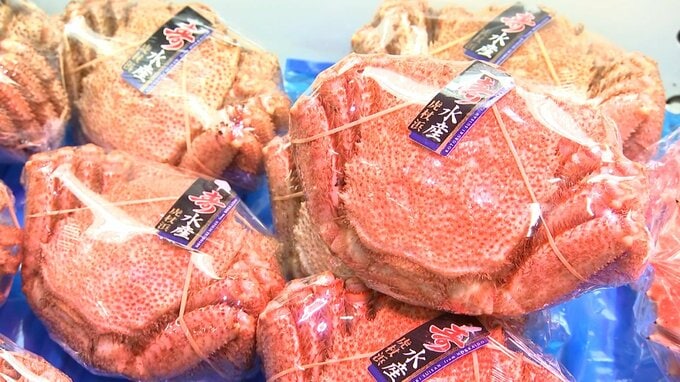 大玉ホタテが乗った弁当や美瑛産のトウモロコシを使ったパフェなど「大北海道展」　58店舗約1,000種類の商品　|TBS NEWS DIG