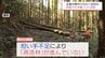 担い手不足で再造林が進まない宮崎県内の林業　「すき間バイト」で課題解決を　宮崎市で説明会　|　MRTニュース ｜ ＭＲＴ宮崎放送