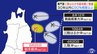 「過去100年でも例はない」頻発する青森県から岩手県北部でのマグニチュード7クラスの地震　“三陸はるか沖地震級”の地震発生確率は「30年以内に90%程度以上」　専門家「十分ひずみがたまっている、最後の割れ残りがあるのでは」　|　青森のニュース│ATV NEWS│青森テレビ