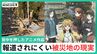 メディアに掲載されない被災地「生活していきたくても…厳しい故郷の“現実”」リアルに発信し続ける　輪島市町野町出身のシナリオライター・藤本透さん　|　石川県のニュース｜MRO北陸放送