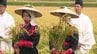 北海道神宮へ奉納する「ゆめぴりか」を刈り取り…北海道東川町で伝統の「抜穂祭」開催　11月23日の「新嘗祭」にお供え　|　北海道のニュース｜HBC北海道放送