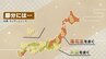 大豆？落花生？節分にまく豆は…福島県では拮抗【2025年節分】　|　福島のニュース│TUF
