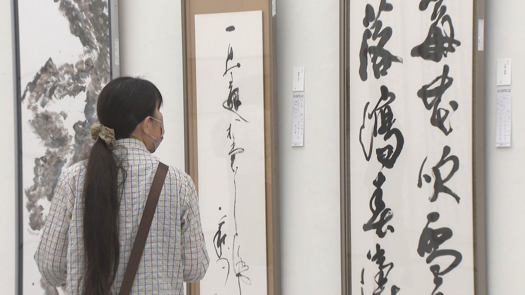 県美術展「書道展」が開幕 545点の力作が集結 大分県立美術館 | TBS