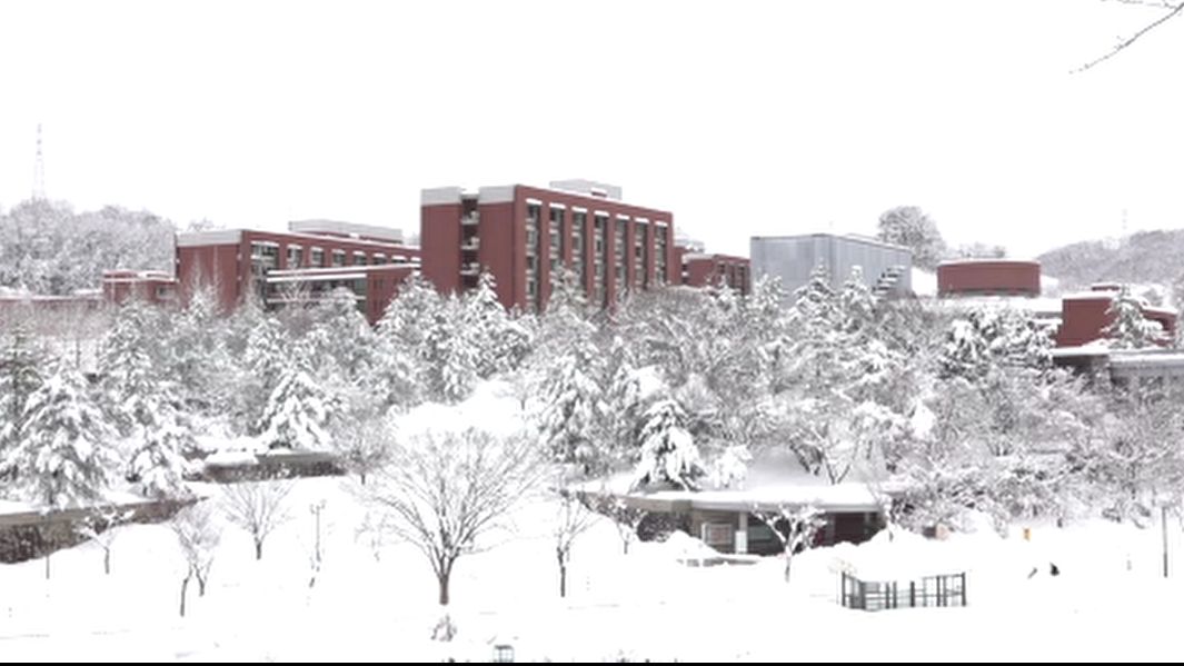 赤本　金沢大学　理系　前期日程　医学部　1994年～2019年 26年分 金沢大学（文系） (2025年版大学赤本シリーズ) | 教学社編集部 |本