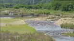 「犬よりも大きな黒い物体が河川敷へ…」クマとみられる動物目撃…長野・松本市が注意呼びかけ…周辺ではクマの目撃相次ぎ、箱わな設置|TBS NEWS DIG