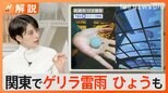 猛暑&大気不安定 都心で雷鳴と稲光が 九州・大雨被害でコメ農家が窮地【Nスタ解説】|TBS NEWS DIG