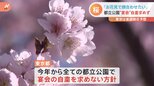「お花見で顔を合わせたい」都立公園では4年ぶり“宴会”が解禁に…桜を求めて多くの外国人観光客が訪れる施設も 盛り上がりみせる“お花見スポット”|TBS NEWS DIG