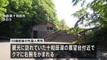 クマに襲われ外国人男性1人けが、命に別状なし　青森・十和田市|TBS NEWS DIG