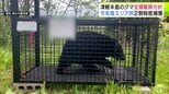 「クマを定着させない」津軽半島は全頭駆除の方針　青森県が今年度のクマの捕獲目標数を決定　津軽半島での捕獲推進のため県も独自に「箱わな」「銃猟」をすることに　9月中旬から実施予定|TBS NEWS DIG