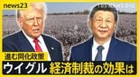 米中対立の陰で…忘れられたウイグル問題 進む「同化政策」モスクは壊され、漢族と「親戚」に【news23】|TBS NEWS DIG