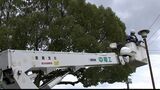 「地域の皆さんに感謝」中電工が倉敷運動公園で高所作業車を使い街路灯の清掃【岡山】|TBS NEWS DIG