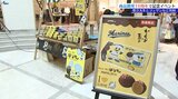かもめの玉子チョコバナナ味「ばなちょ」の開発秘話語る　岩手県立大学の学生が企業とコラボ10周年　盛岡駅ビルフェザンで5月25日、26日に歴代商品の特別販売会　　|　IBC NEWS | IBC岩手放送