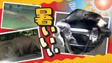 今年初の「猛暑日」に動物たちもぐったり？飼育員が“凍った果物”のサービス　|　福岡のニュース｜RKB NEWS｜RKB毎日放送