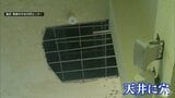 室内プールの天井落下・約７メートル下にがれき散乱　開館中の事故で当面臨時休館　青森県青森市・西部市民センター|TBS NEWS DIG