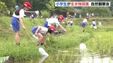 「何を捕まえた？」小学生が生き物採集　自然観察会　国営備北丘陵公園（広島）　|　RCC NEWS | 広島ニュース | RCC中国放送