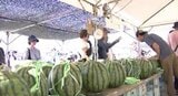 【スイカの当たり年です!】早めの購入がおすすめ!「暑さで実が早く熟し、出荷も数日前倒し傾向」長野・松本市で農家が特産「スイカ」直売する恒例「すいか村」にぎわう…長い行列も|TBS NEWS DIG