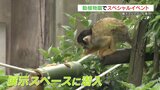 「特別感がある」動物展示スペースにも潜入!  熊本市動植物園で会員限定イベント|TBS NEWS DIG