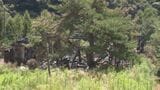 塩尻市の住宅火災　死亡したのは住人の81歳女性と判明　死因は焼死　引き続き火事の原因調べる　長野|TBS NEWS DIG