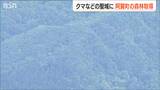 「人とクマとの棲み分けを図る」水源地と野生動物の保全を目指し 日本熊森協会が約1000haの森林を取得 新潟県阿賀町|TBS NEWS DIG