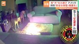 犬がリチウムイオン電池噛み発火　民家燃える　アメリカ|TBS NEWS DIG