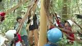 樹皮をはがして木を枯らす「皮むき間伐」木材軽量化で伐採や搬出が簡単に 親子連れが体験 | 福岡のニュース|RKB NEWS|RKB毎日放送