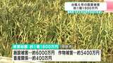 台風6号の農業被害1億1800万円に　ショウガやミョウガなどに打撃【高知】　|　高知のニュース・天気｜KUTV NEWS | KUTVテレビ高知