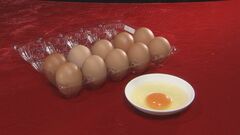 たまご価格の上昇懸念　鳥インフルエンザ 8道県10事例発生 約121万羽が殺処分対象に　農水省は緊急会議開催へ| TBS CROSS DIG with Bloomberg