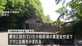 クマに襲われ外国人男性1人けが、命に別状なし　青森・十和田市|TBS NEWS DIG