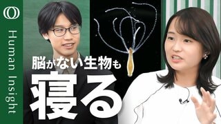 【人間はショートスリーパーになれるのか】『睡眠の起源』著者・金谷啓之／脳をもたない生物も眠ることを発見／睡眠圧を解明できれば睡眠時間をコントロールできる【Human Insight】| TBS CROSS DIG with Bloomberg