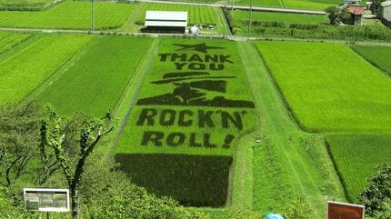 矢沢永吉さんの姿を水田で表現する「永ちゃん田んぼ」で田植え 参加