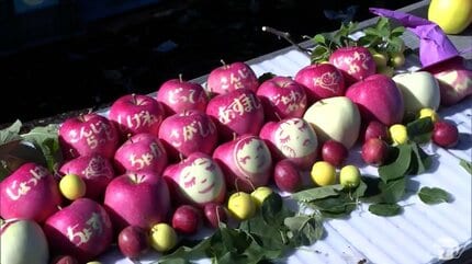 ここ数年で最高の出来」絵・文字入りリンゴの収穫作業はじまる 津軽弁