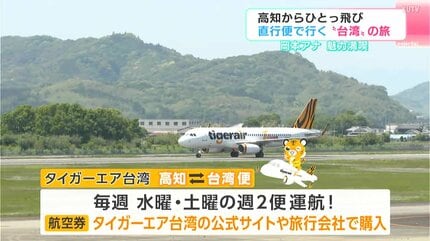 平均搭乗率90%以上！人気チャーター便で行く高知→台湾旅【前編】 中正
