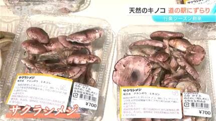 さくらしめじ 長野 ご存じ？「コウタケ」「アイシメジ」「サクラシメジ」…長野市の道の駅