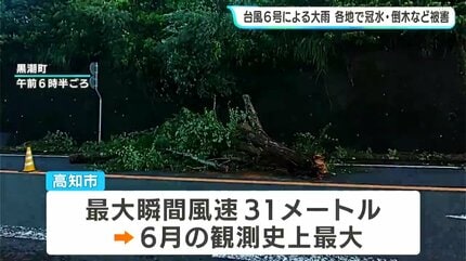 すごい雨やった」台風6号・高知県から遠ざかるも…大雨・冠水・倒木など