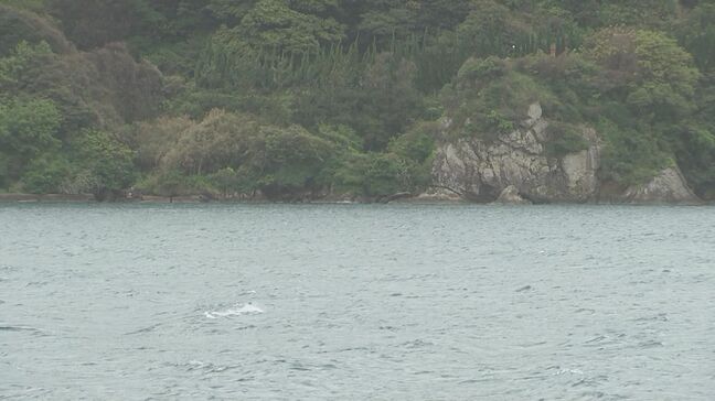 「ジーパンが漂着していた、人かもしれない」　岩場でうつぶせ状態の一部白骨化した遺体発見　年齢・髪型わからず…ジーンズのポケットにはスズキの車の鍵|TBS NEWS DIG