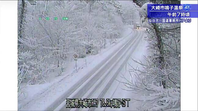 【大雪情報】「午後は広く雪雲や雨雲が流れ込み西部は大雪となるおそれ。各地で強風やふぶきに注意が必要」tbc気象台 29日|TBS NEWS DIG