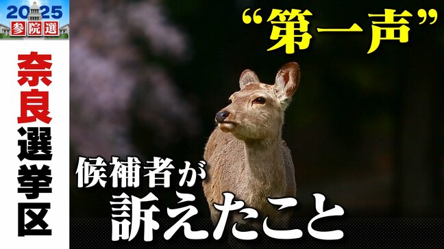 【参議院選挙2025】奈良選挙区は7人が立候補 定数は1 各候補者は何を訴えた?【第一声まとめ・候補者の一覧】|TBS NEWS DIG