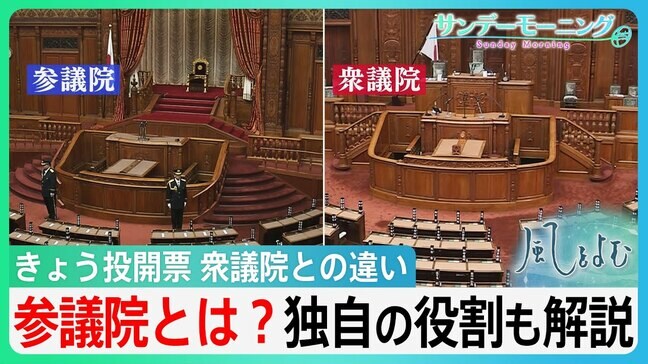 そもそも参議院って何？意外と知らない衆議院との違い　きょう投開票日【サンデーモーニング・風をよむ】|TBS NEWS DIG