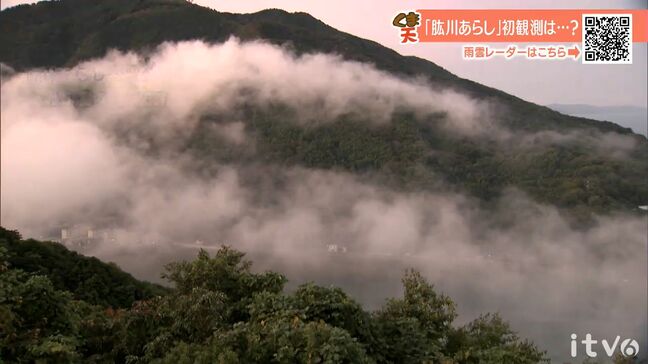 31日(金)は低気圧や前線の影響で各地で本降りの雨となり雷を伴う所も 最低気温は大幅上昇も昼間は上がらず 愛媛|TBS NEWS DIG