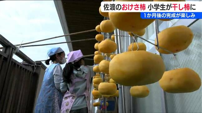 1か月後の完成が楽しみ「ピーラーを使いこなすのが難しかった」特産『おけさ柿』の干し柿づくりにチャレンジ！新潟県佐渡|TBS NEWS DIG