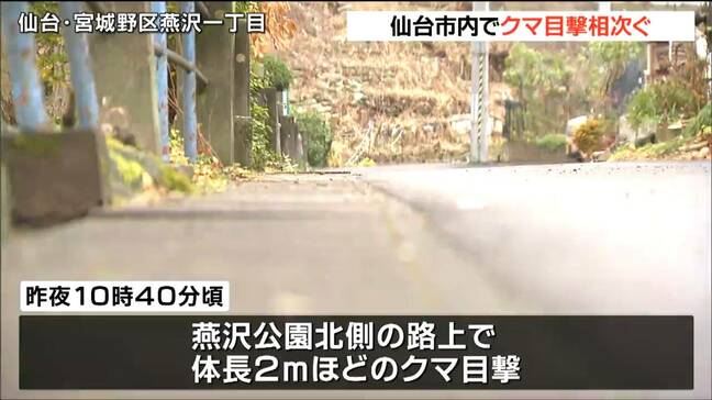 JR仙台駅から北東約3キロの住宅街でクマ目撃7件相次ぐ 同一のクマうろついているか 宮城県12月のクマ目撃数は過去最多に|TBS NEWS DIG