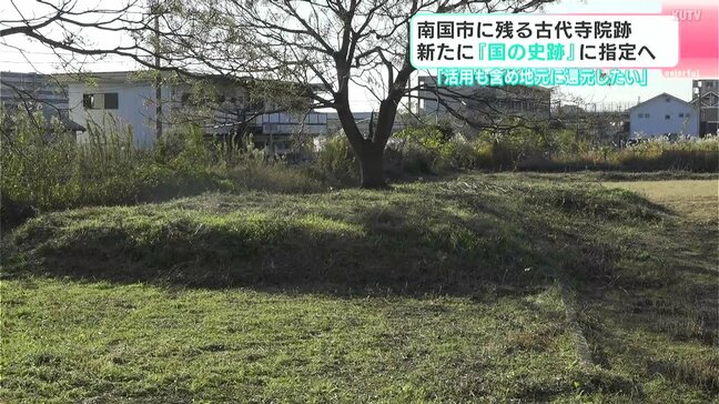「活用も含め地元に還元したい」高知県南国市に残る古代寺院跡　新たに『国の史跡』に指定へ|TBS NEWS DIG